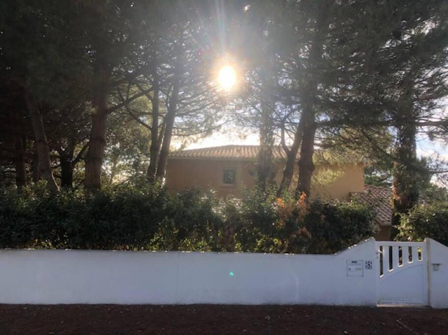 Villa Arethuse - Pyla Sur Mer Esterno foto