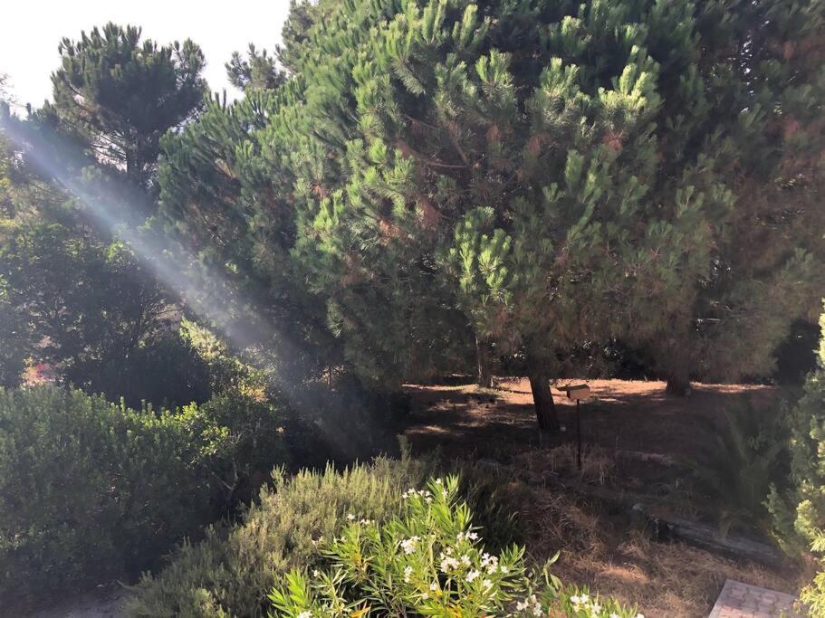 Villa Arethuse - Pyla Sur Mer Esterno foto